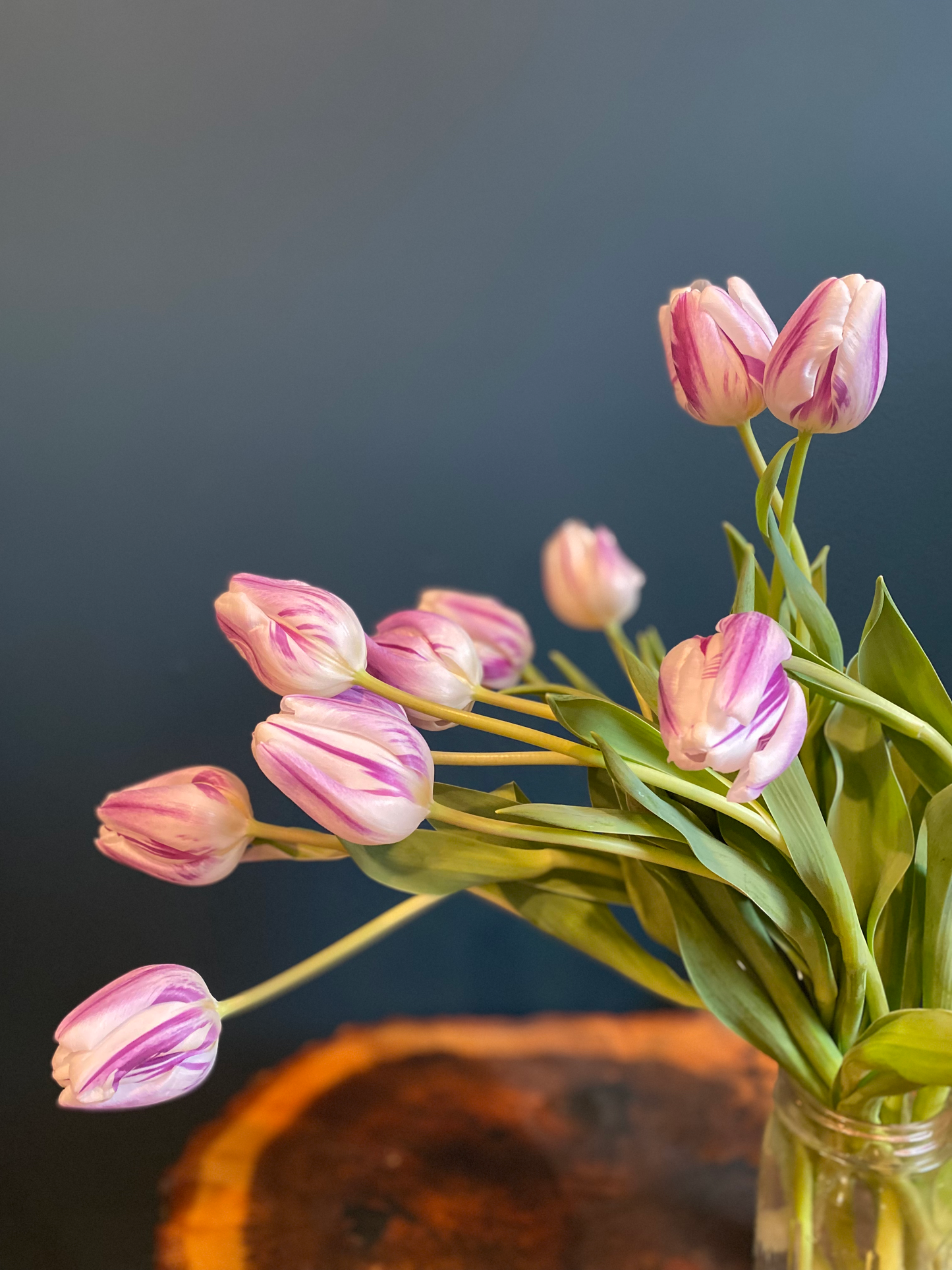Tulip Share image 2