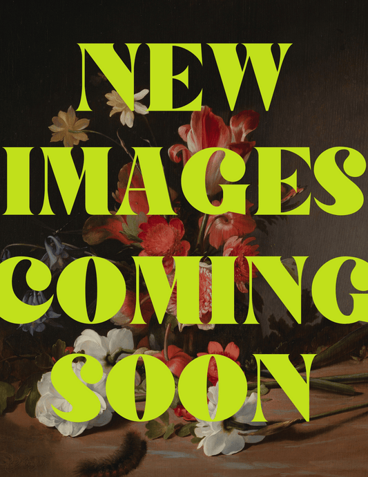 Heirloom Chrysanthemums