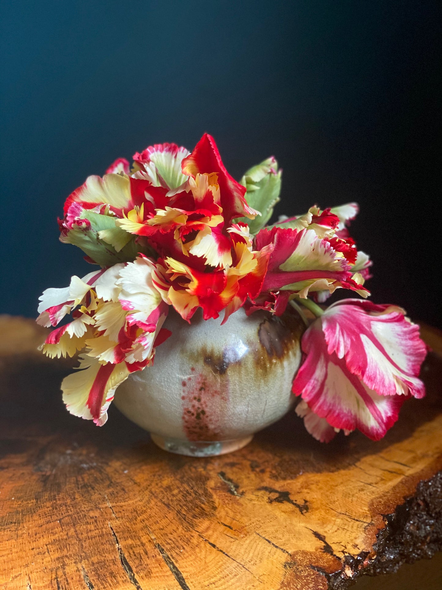 Specialty Tulip Subscription