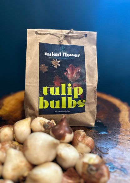 Free Gift with Purchase $75+